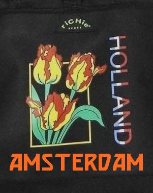 Souvenirtulips-Holland.jpg